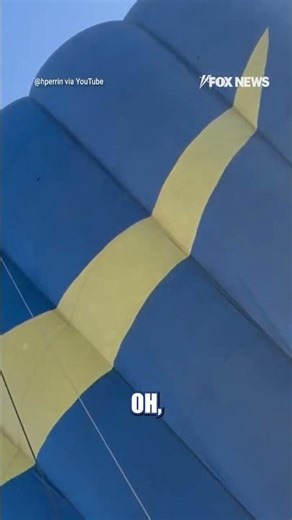 VIRAL VIDEO: This is definitely not something you see every day…