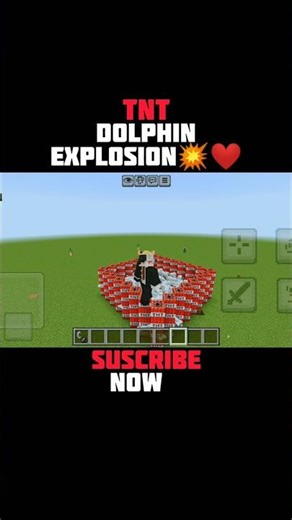 Minecraft TNT DOLPHIN EXPLOSION 💥❤ #minecraft​​ #minecraftshorts​​ #explosion​​ #gaming​​ #shorts