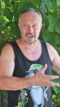 Некоректна пропозиція