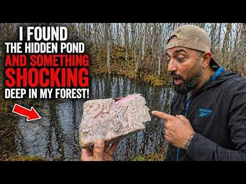 I FOUND SOMETHING SHOCKING DEEP IN MY FOREST (NEW AREA UNLOCKED)