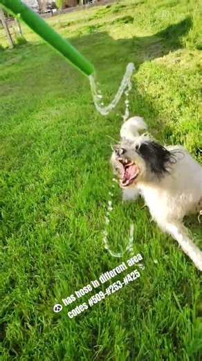 she's got HOSE in different area CODES #206 #509 #253 #425