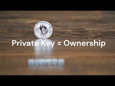 What Is a Crypto Wallet? Hot vs Cold Wallet Explained (Beginner Guide 2026)