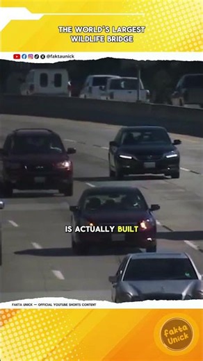 California Built a Bridge That Cars Can't Use