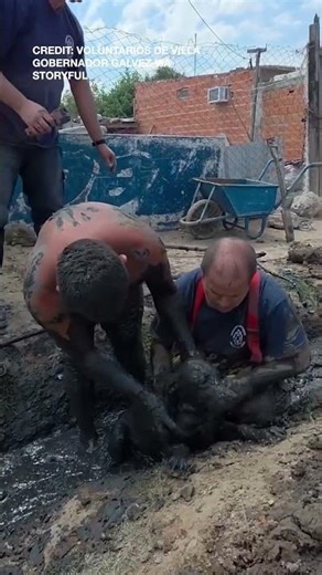 Firefighters Rescue Puppy Stuck in Mud-filled Drainage Pipe