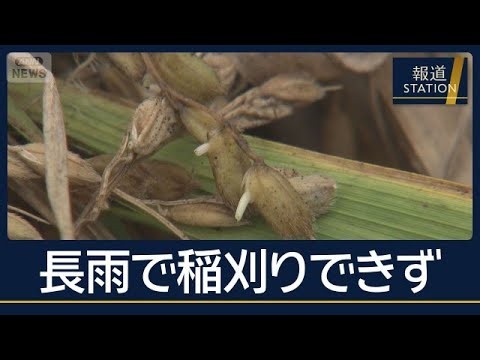 長雨で雨漏り“急増”修復依頼は去年の5倍超に…東京“35日連続雨”最長更新【報道ステーション】(2026年9月30日)