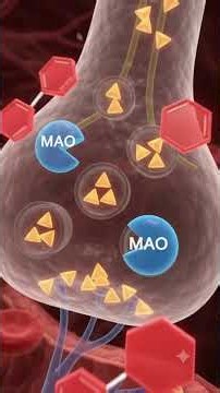 Adverse Drug Reaction -MAO Inhibitor Hypertensive Crisis (Tyramine Interaction) #mbbs #neet #neetpg