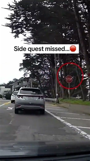 POV: You forgot what a Stop Sign is 🛑