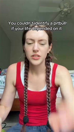 of course people are just insane about dogs in general now but many genuinely act like breeds created by humans through artificial selection for strength and aggression are some kind of "naturally-occurring" Race and that it would be Genocide to try to curb their breeding/sale