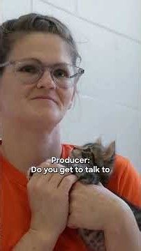 Inmates Help Foster Kittens 🐱 | 120 Hours Behind Bars | Discovery