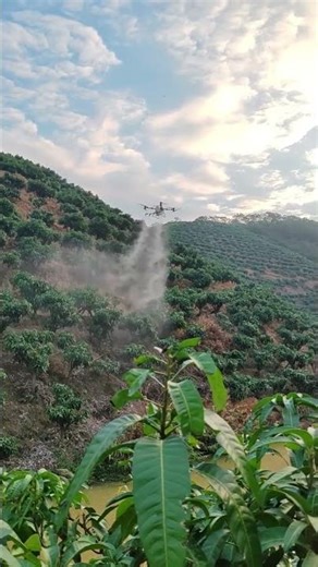 Drone Fertilizing Crops on Mountains 🚁🌱 | Smart Farming in Extreme Terrain