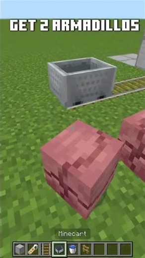 This XP Farm Is TOO Easy 🤯