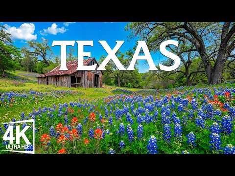 Spring Texas 4K 🌼 Bluebonnet Trails and Golden Light of Spring Awakening - Piano Music