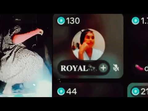 NIIKO SIIGO KALAKICIS SOMALI GIRL FUTO RAAXO WASMO LIVE