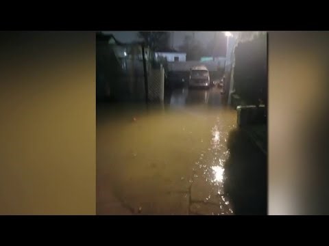 Detroit homeowner demands answers over flooding linked to city storm project