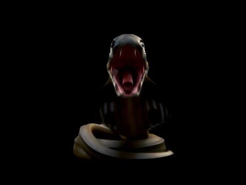 Krait vs Wolfsnake #Krait #Wolfsnake #SnakeBattle #WildlifeShorts #NightWildlife #Herpetology