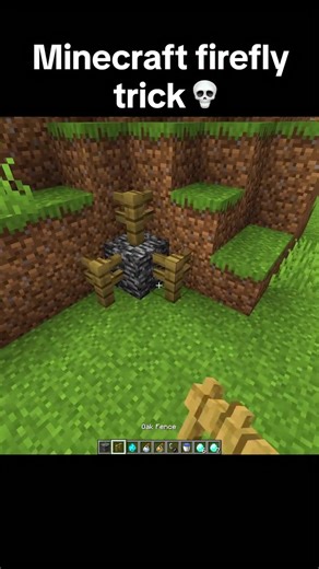 Exploring the World of Minecraft: Build, Survive, Create