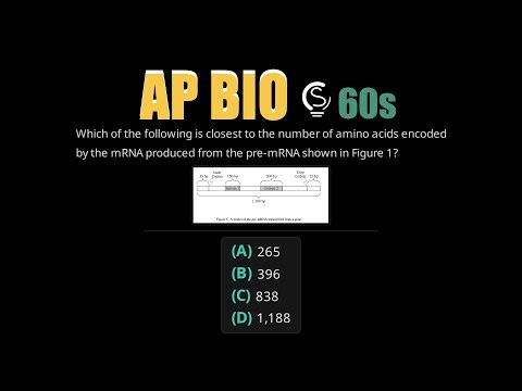 2023 AP Bio Question 60 - mRNA Processing and Protein Synthesis