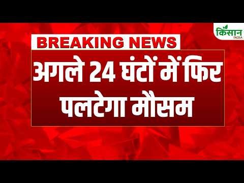 अगले 24 घंटों में पलटेगा मौसम! IMD ने कई राज्यों में जारी किया भारी बारिश का अलर्ट! Monsoon 2026