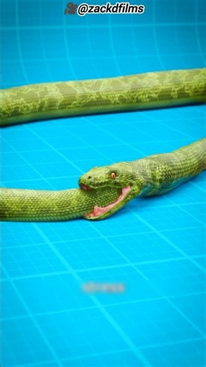 🐍 When a Snake Eats Its Own Tail! 😱
