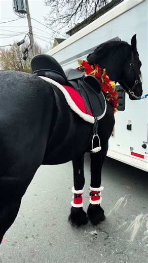 Unlock Benefits with the LIVE Incentive Program