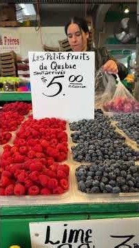 How to Spend a Weekend in Montreal With Kids