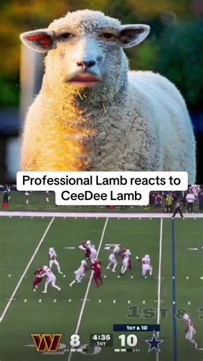 Dallas Cowboys Highlights: CeeDee Lamb's Best Plays