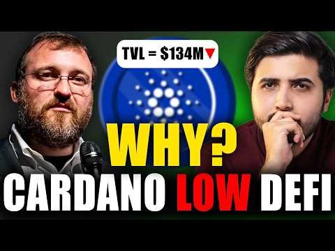 The Hidden Reality Behind Cardano’s Small DeFi TVL