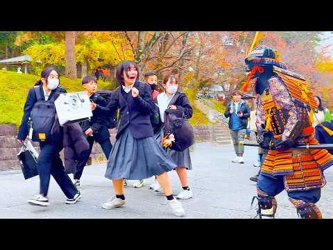Students Run for Their Lives🏃‍♀️💨 Samurai Prank in Kyoto 🇯🇵 #141