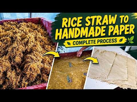 Rice Straw to Paper Making Process 🌾 | Eco-Friendly Paper Manufacturing Machine
