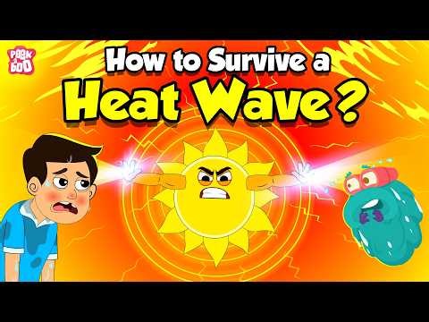 Global Climate Change | How to Survive a Heat Wave? | Heatstroke and Heat Exhaustion | Dr. Binocs