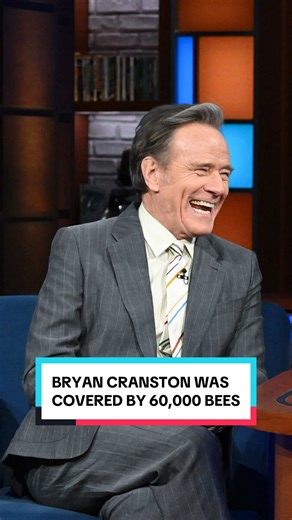 @Bryan Cranston found himself in the middle of a painful predicament bee-low the belt. #Colbert #BryanCranston #MalcolmInTheMiddle