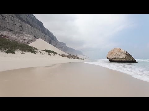 Tourists stranded on remote Yemeni island after Saudi-UAE rift | REUTERS