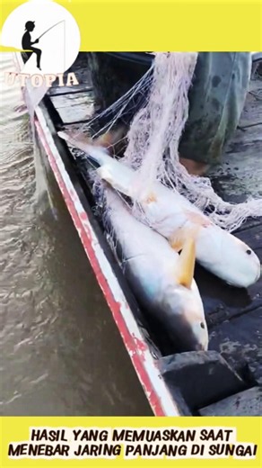 Patience Yields Monsters: Never Give Up Pulling the Nets #shorts #viral #youtubeshorts #short
