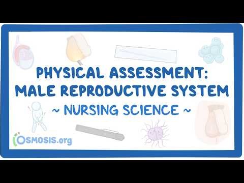 Nursing Science: Physical assessment - Male reproductive system