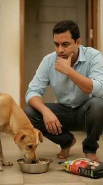 This Drools Brand Defeated Global Giants 🐕| #shorts #drools #dog