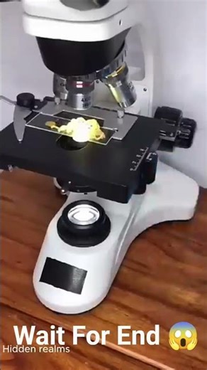 Megi bacteria through a microscope! #microscope #shorts #science research #ckn microscope #ytshorts