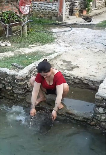 Building a Garden Shed for Farm Life