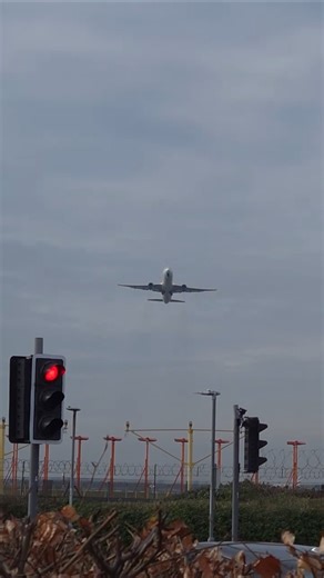 United Airlines 767 Star Alliance Heavy Takeoff! ✈️ #UnitedAirlines #Boeing767 #Shorts
