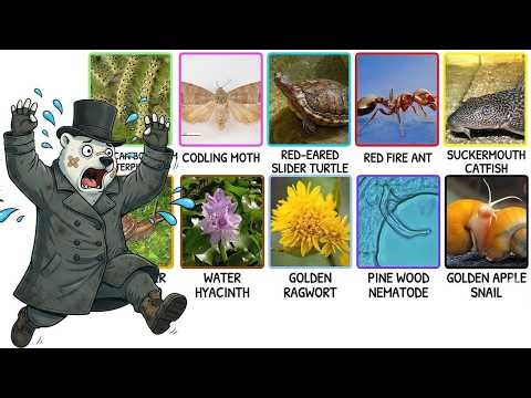 The 14 Most Terrifying Invasive Species in the World – Nature’s “Vampires”