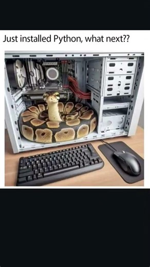 just installed python now what #automobile #music #edit #meme #relatable #lol #fypシ゚viral