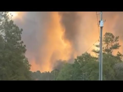 As south Georgia wildfires grow, organizations step up to help those affected