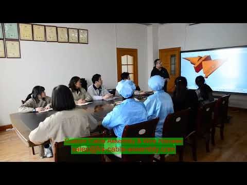 patient monitor leadwire set UL AWM custom wiring harness MIPI CSI DSI JST to JAE PTFE jacket double