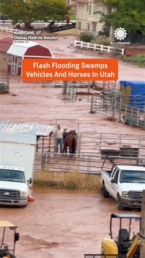 AccuWeather on X: "Muddy floodwaters swept through Hurricane, Utah, on Thursday, submerging vehicles and flooding a horse corral as residents rushed to move their animals to safety. A local state of emergency was declared after approximately 130 residential structures were impacted." / X