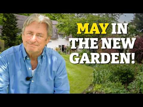 Our New Garden May Transformation: Lawn Secrets, Plants for Wildlife & Perfect Pots!