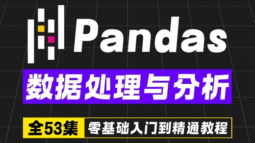 2026最新版Pandas数据处理与分析教程，零基础入门到精通！【Python数据分析】【Numpy】