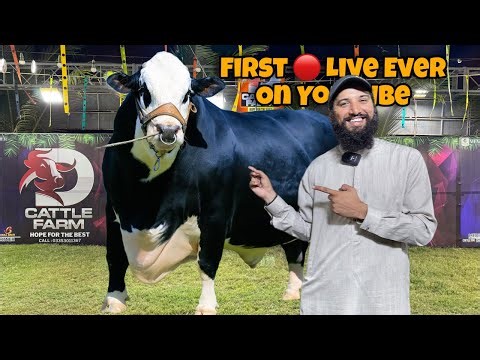 🔥 We Are At D Cattle Farm 😍 | AR Maani