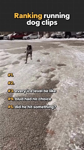 Ranking Running Dog Clips #shorts