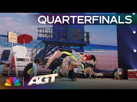 Acro Canine Crew Turns AGT Into a Beach Party! | Quarterfinals | AGT 2026