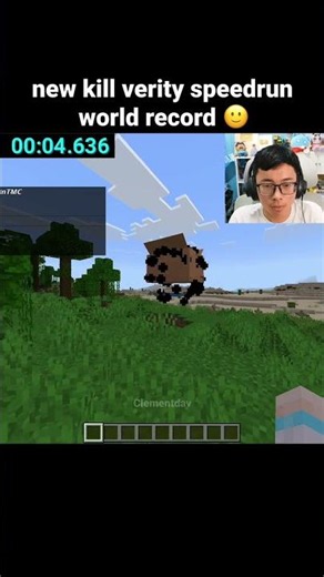 Minecraft Verity Moment