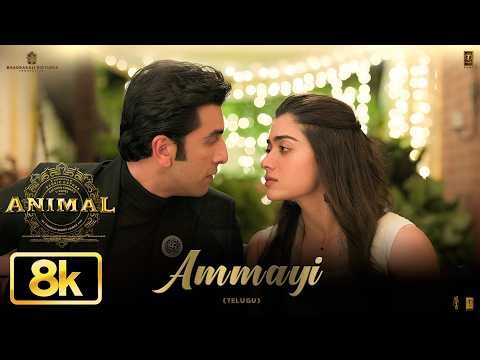 Ammayi 8K Video | ANIMAL | Ranbir Kapoor | Rashmika | Raghav | Pritam | Sandeep Reddy V | Bhushan K